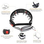 Reflective Martingale Collar for Large Dogs