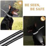 Reflective Martingale Collar for Large Dogs