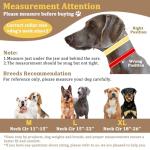 Reflective Martingale Collar for Large Dogs