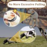 Reflective Martingale Collar for Large Dogs