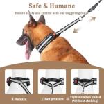 Reflective Martingale Collar for Large Dogs