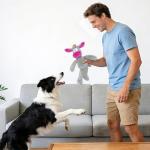Squeaky Plush Dog Toys for Chewing Fun