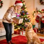 Squeaky Plush Dog Toys for Chewing Fun