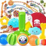 25 Pack Dog Toys for Teething & Playtime