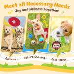 25 Pack Dog Toys for Teething & Playtime