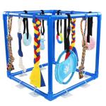 Interactive Puppy Play Gym with 10 Toys