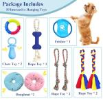 Interactive Puppy Play Gym with 10 Toys