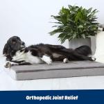 Comfortable Orthopedic Dog Bed with Memory Foam