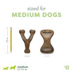 Benebone 2-Pack Wishbone & Dental Chew Toys