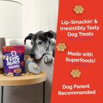 Crunchy Pumpkin & Apple Dog Biscuits - 16 oz