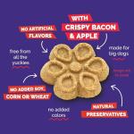 Crunchy Pumpkin & Apple Dog Biscuits - 16 oz