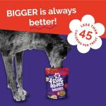 Crunchy Pumpkin & Apple Dog Biscuits - 16 oz