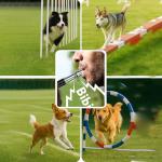 Ami's Delight Premium Dog Whistle Set with Clicker