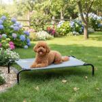Cooling Elevated Dog Bed with Metal Frame, Medium