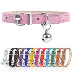 Adjustable Pink Dog Collar for Teacup Puppies