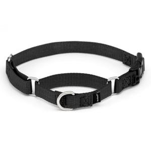 PetSafe Adjustable Martingale Dog Collar - Black