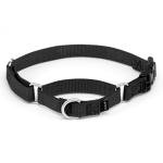 PetSafe Adjustable Martingale Dog Collar - Black