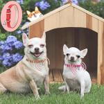 Adjustable Pink Dog Collar for Teacup Puppies