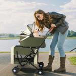 Double Pet Stroller for Dogs and Cats - Green