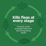 TevraPet FirstAct Plus Flea and Tick Drops