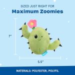 Barkbox 2-in-1 Interactive Plush Dog Toy