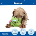 Barkbox 2-in-1 Interactive Plush Dog Toy