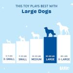 Barkbox 2-in-1 Interactive Plush Dog Toy