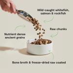 Protein-Packed RawMix Dog Food with Ancient Grains