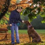 Kurgo Go Stuff It Hands-Free Dog Treat Bag