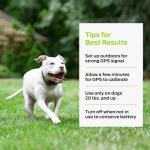 Portable GPS Dog Fence Collar with Boundary Control