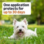 Flea and Tick Treatment for Small Dogs, 3-Pack