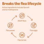 Flea and Tick Treatment for Small Dogs, 3-Pack