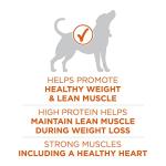 Purina ONE Healthy Weight High-Protein Dog Food