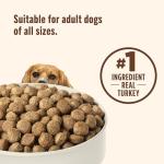 Rachael Ray Nutrish Turkey & Venison Dog Food