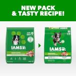 IAMS Proactive Health Mini Chunks Dry Dog Food