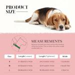Reflective Pink Adjustable Dog Collar for All Sizes
