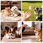 Squeaky Puppy Toys - Interactive Rubber Balls