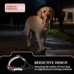 Reflective Pink Adjustable Dog Collar for All Sizes