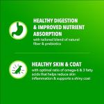 IAMS Proactive Health Mini Chunks Dry Dog Food