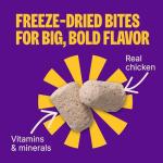 Wellness Complete Health Small Breed Turkey & Oatmeal