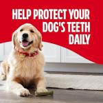 Milk-Bone Fresh Breath Chews for Dental Health