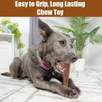 SPOT Bam-Bones T-Bone Chew Toy for Puppies