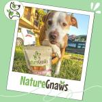 Nature Gnaws Beef Tendons for Heavy Chewers 5-Pack