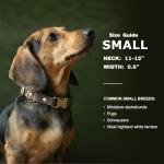 Didog Soft Adjustable Dog Collar for Small Dogs