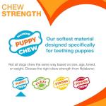 Nylabone Puppy Chew Toys: Chicken & Bacon Trio