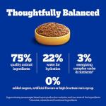 PEDIGREE Soft Wet Dog Food Variety Pack 30 Count