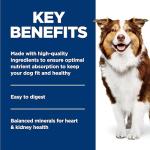 Hill's Science Diet Senior Wet Dog Food, Beef & Veg Stew