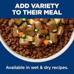 Hill's Science Diet Senior Wet Dog Food, Beef & Veg Stew