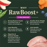 Instinct Raw Boost Small Breed Dog Food 10 lb