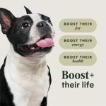 Instinct Raw Boost Small Breed Dog Food 10 lb